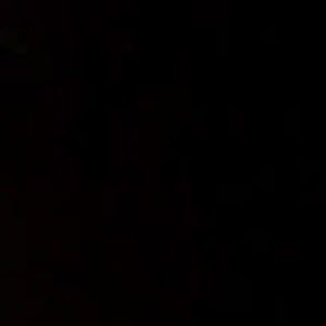 Meet your Posher, Sidney